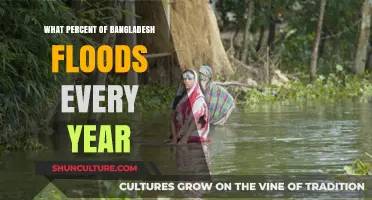 Annual Flooding in Bangladesh: Understanding the Impact and Percentage