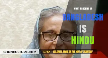 Exploring Bangladesh's Religious Demographics: Hindu Population Percentage Revealed