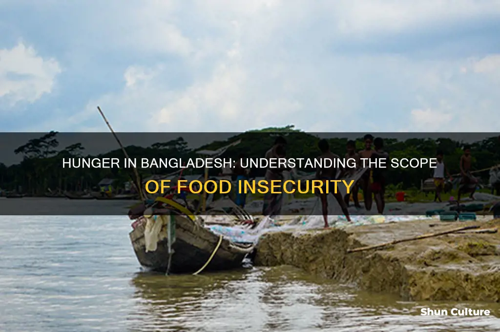 what percent of bangladesh is hungry