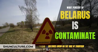 Belarus' Contamination Crisis: Understanding the Country's Pollution Percentage