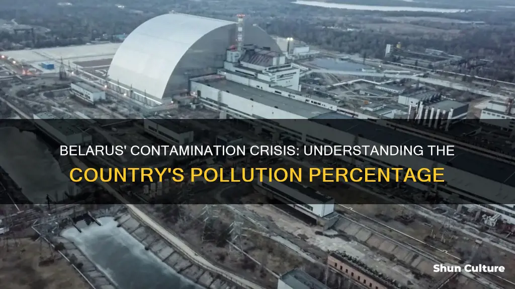 what percent of belarus is contaminated