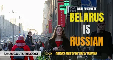 Russian Presence in Belarus: Exploring Ethnic Demographics