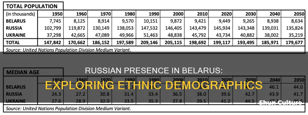 what percent of belarus is russian