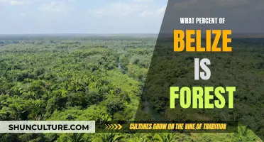 Belize's Forest Cover
