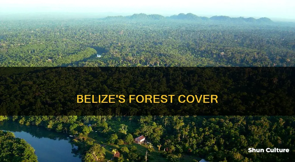 what percent of belize is forest