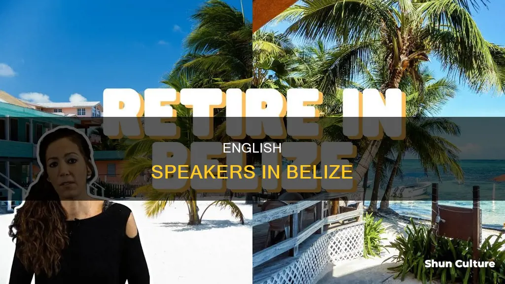 what percent of belize speaks english