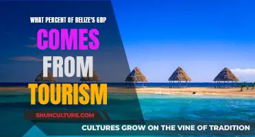 Tourism's Share of Belize's Economy
