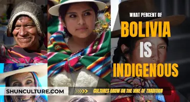 Indigenous Population in Bolivia: Exploring Their Rich Heritage