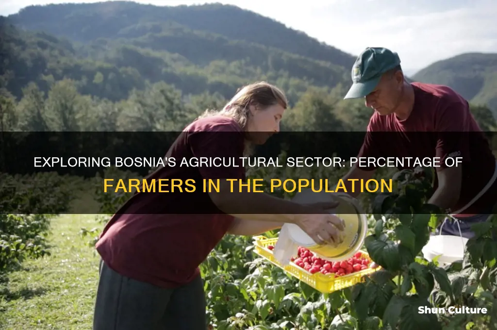 what percent of bosnia is farmers