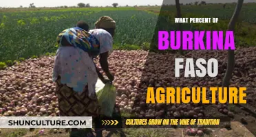 Exploring Burkina Faso's Agricultural Sector: A Percentage Breakdown