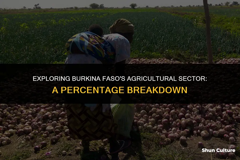 what percent of burkina faso agriculture