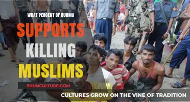 Unveiling the Truth: Burma's Stance on Muslim Violence