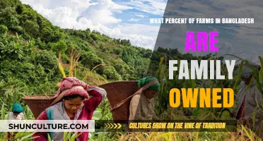 Family Farms in Bangladesh: Ownership Percentage and Agricultural Impact