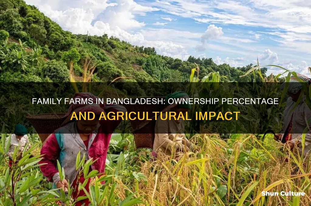 what percent of farms in bangladesh are family owned