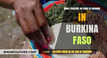Exploring Burkina Faso's Organic Food Landscape: A Percentage Breakdown