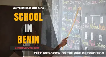 Empowering Futures: Female Education in Benin by the Numbers