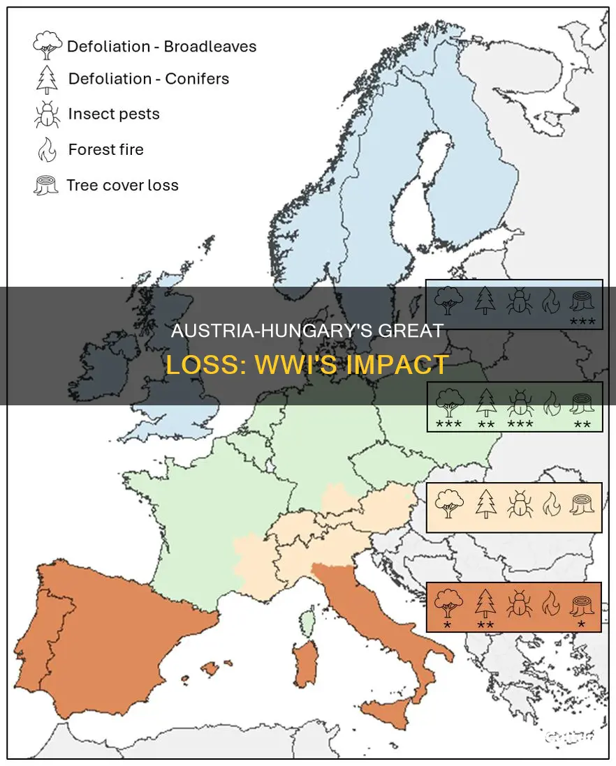 what percent of land did austria hungary lose in ww1