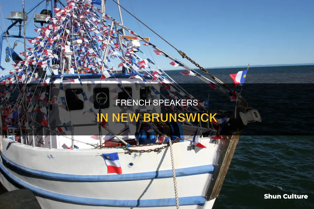 what percent of new brunswick speaks french