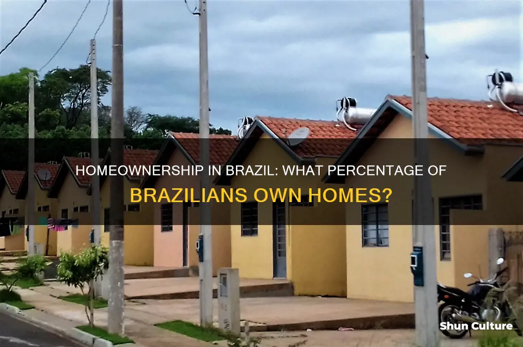 what percent of people in brazil have a home