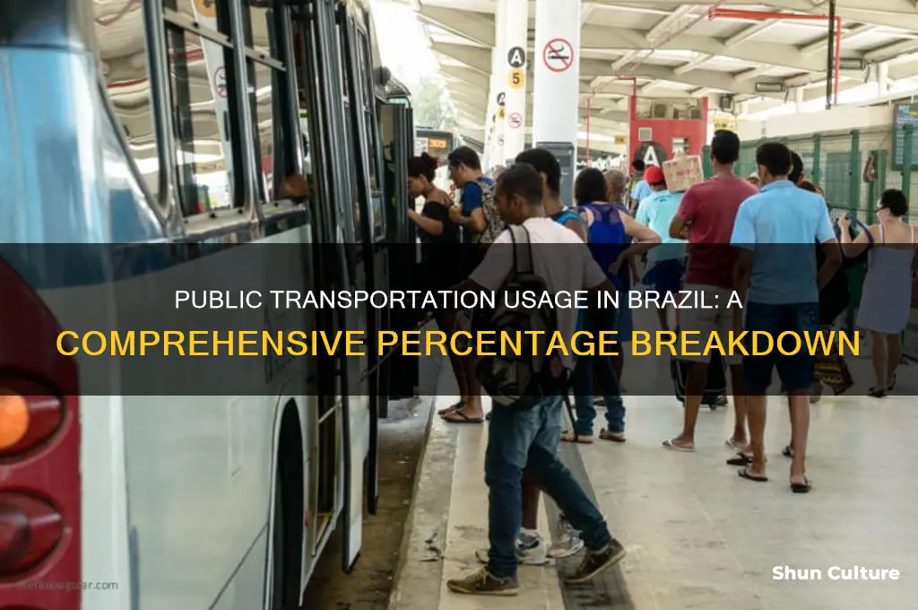 what percent of people in brazil use public transportation