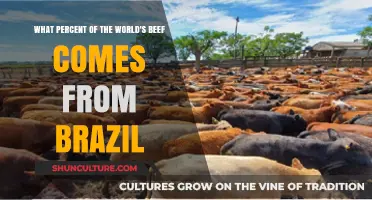 Brazil's Beef Dominance: Global Percentage and Industry Insights