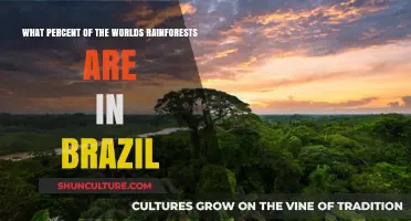 Brazil's Rainforest Share: How Much of the World's Lungs Lie Within?