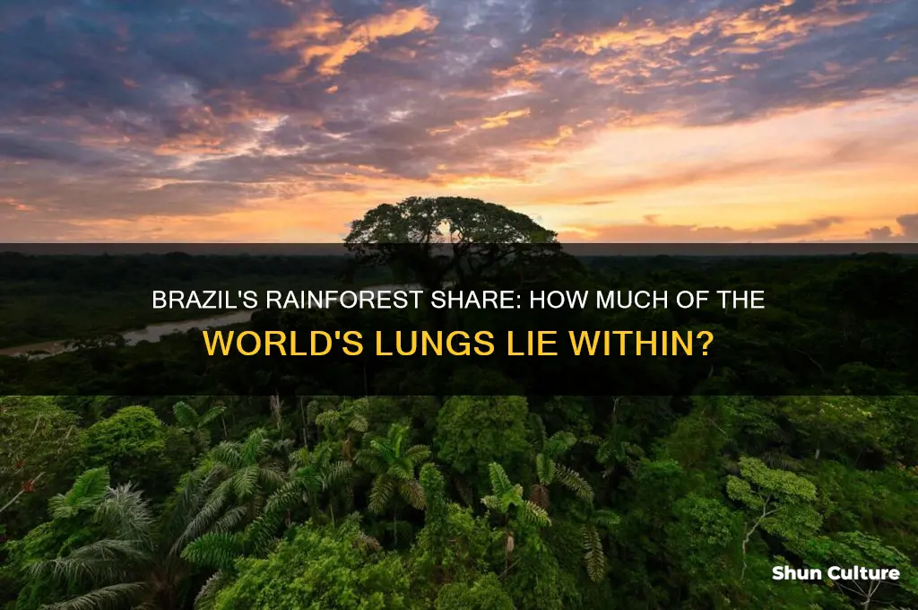 what percent of the worlds rainforests are in brazil
