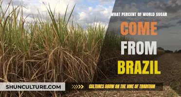 Brazil's Dominance in Global Sugar Production: A Percentage Breakdown