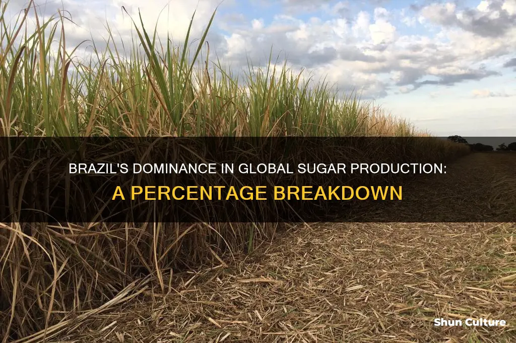 what percent of world sugar come from brazil