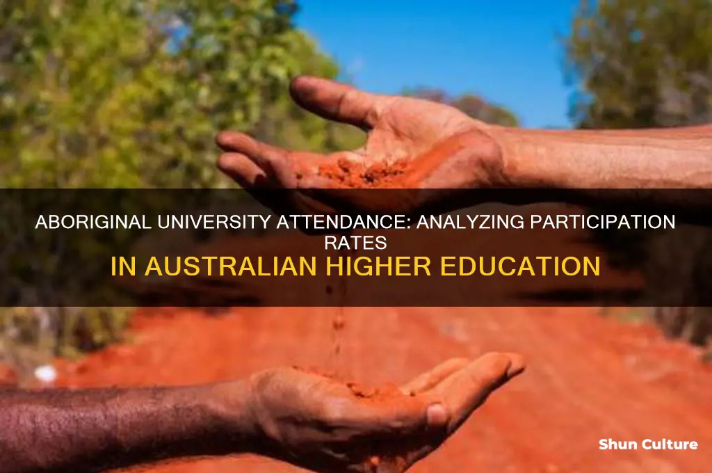 what percentage of aboriginal in australia go to university