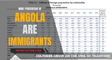 Immigrants in Angola: Understanding the Country's Population Composition