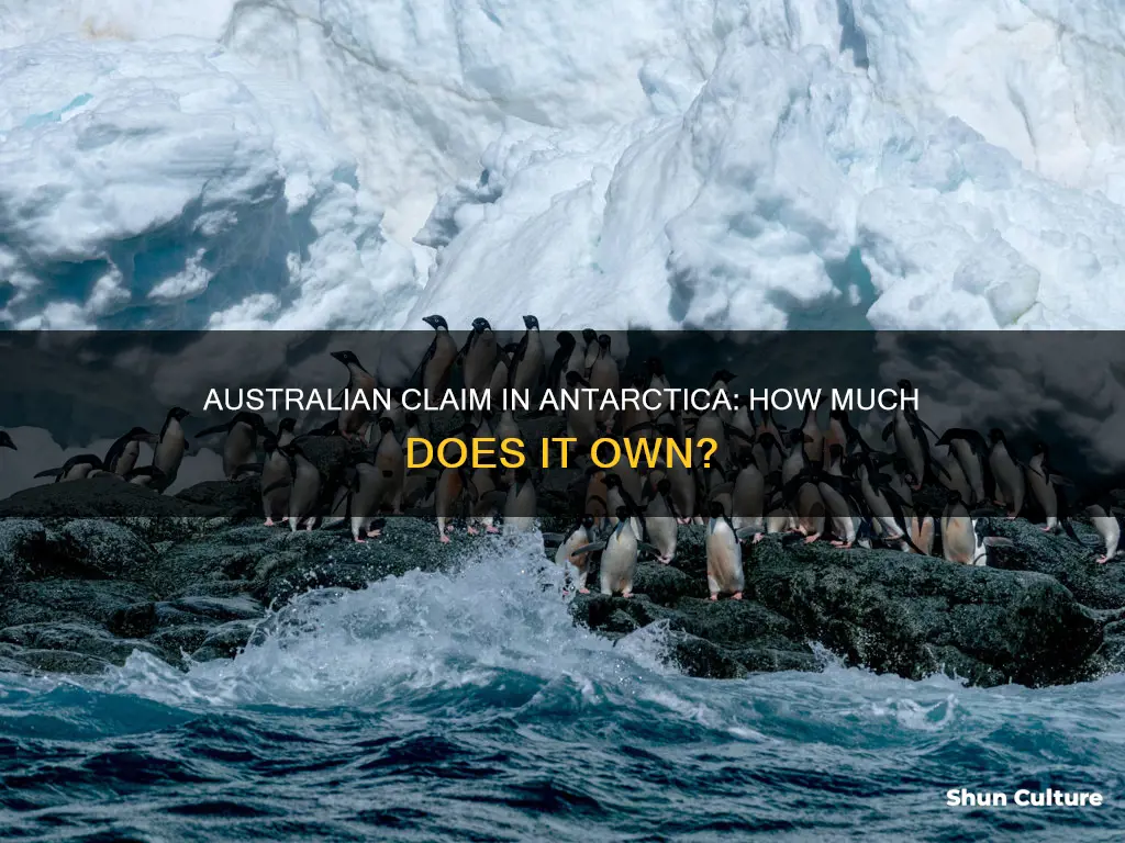 what percentage of antarctica is owned by australia