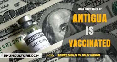 Antigua's COVID-19 Vaccination Progress: Current Percentage and Insights