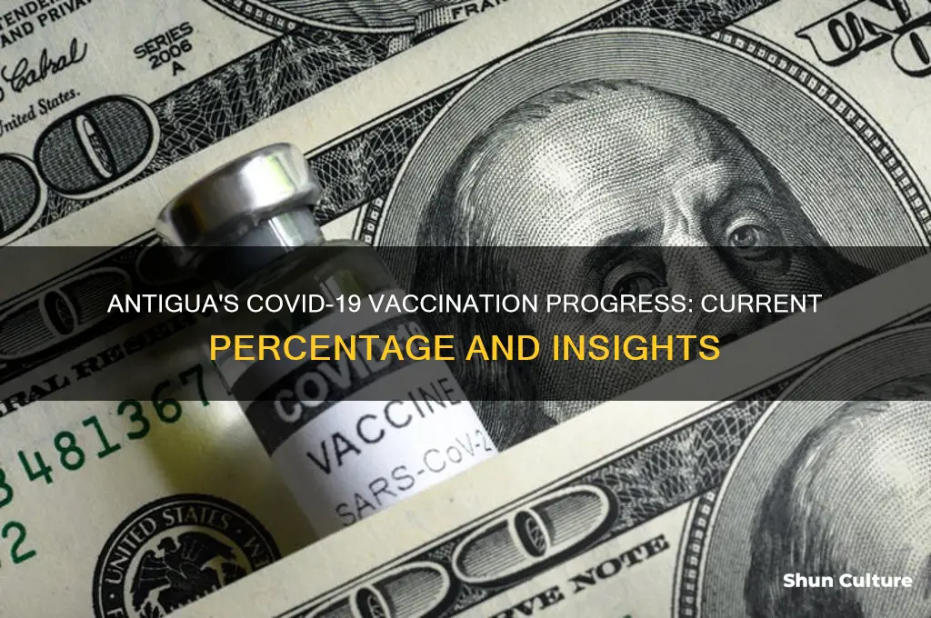 what percentage of antigua is vaccinated