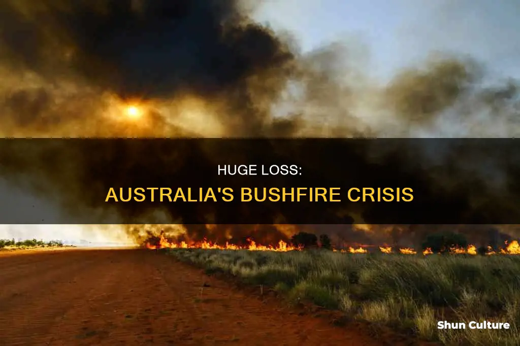 what percentage of australia has burned so far