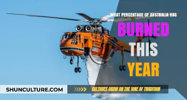Australia's Devastating Wildfires: How Much Land Has Burned in 2023?