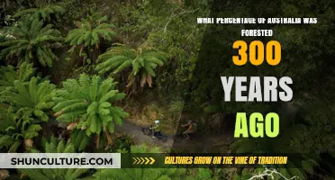 Exploring Australia's Ancient Forests: Historical Coverage 300 Years Ago