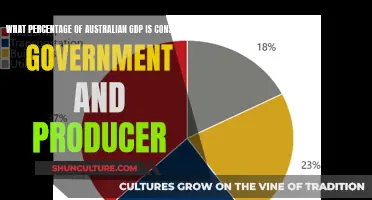 Understanding Australia's GDP: Consumer, Government, and Producer Breakdown