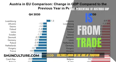 Austria's Trade-Dependent Economy: Unlocking the GDP's Trade Secrets