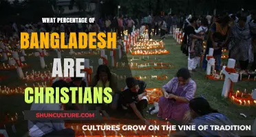 Exploring Bangladesh's Christian Population: A Percentage Breakdown