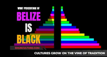 Belize's Black Population Percentage