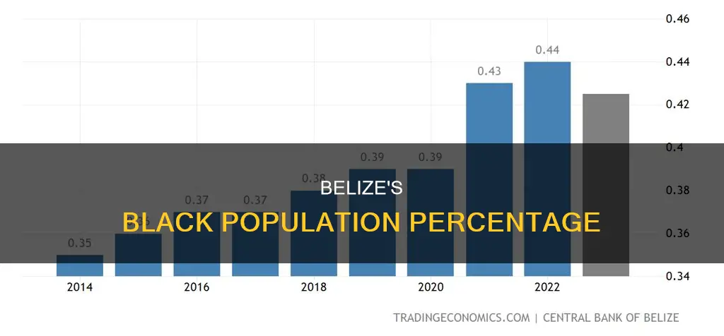 what percentage of belize is black