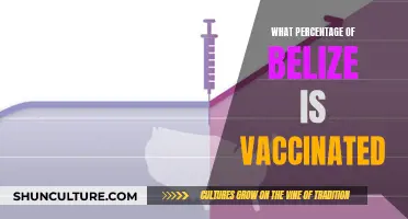 Belize's Vaccination Rate: How High?
