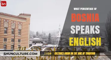 English Proficiency in Bosnia: Exploring Language Usage and Trends