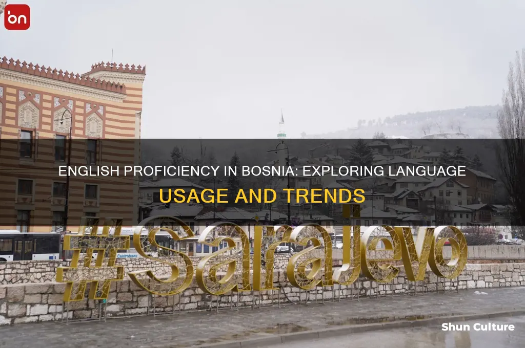 what percentage of bosnia speaks english