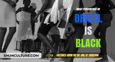 Exploring Brazil's African Heritage: Understanding the Black Population Percentage
