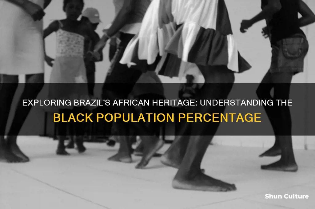 what percentage of brazil is black