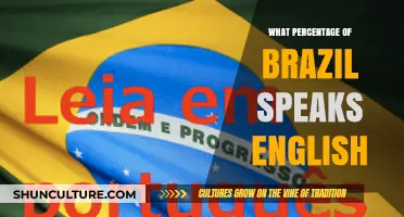 English Proficiency in Brazil: Understanding the Percentage of Speakers