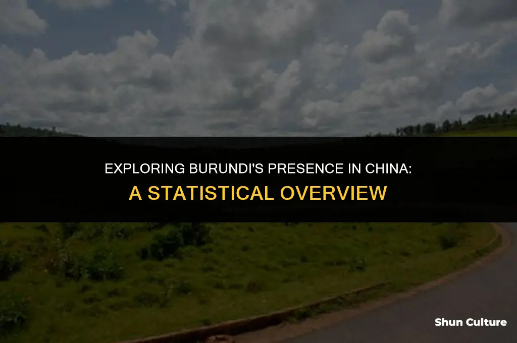 what percentage of burundi in china