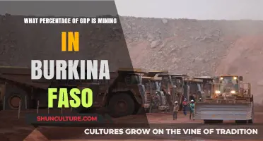 Burkina Faso's Mining Sector: A Significant Contributor to GDP